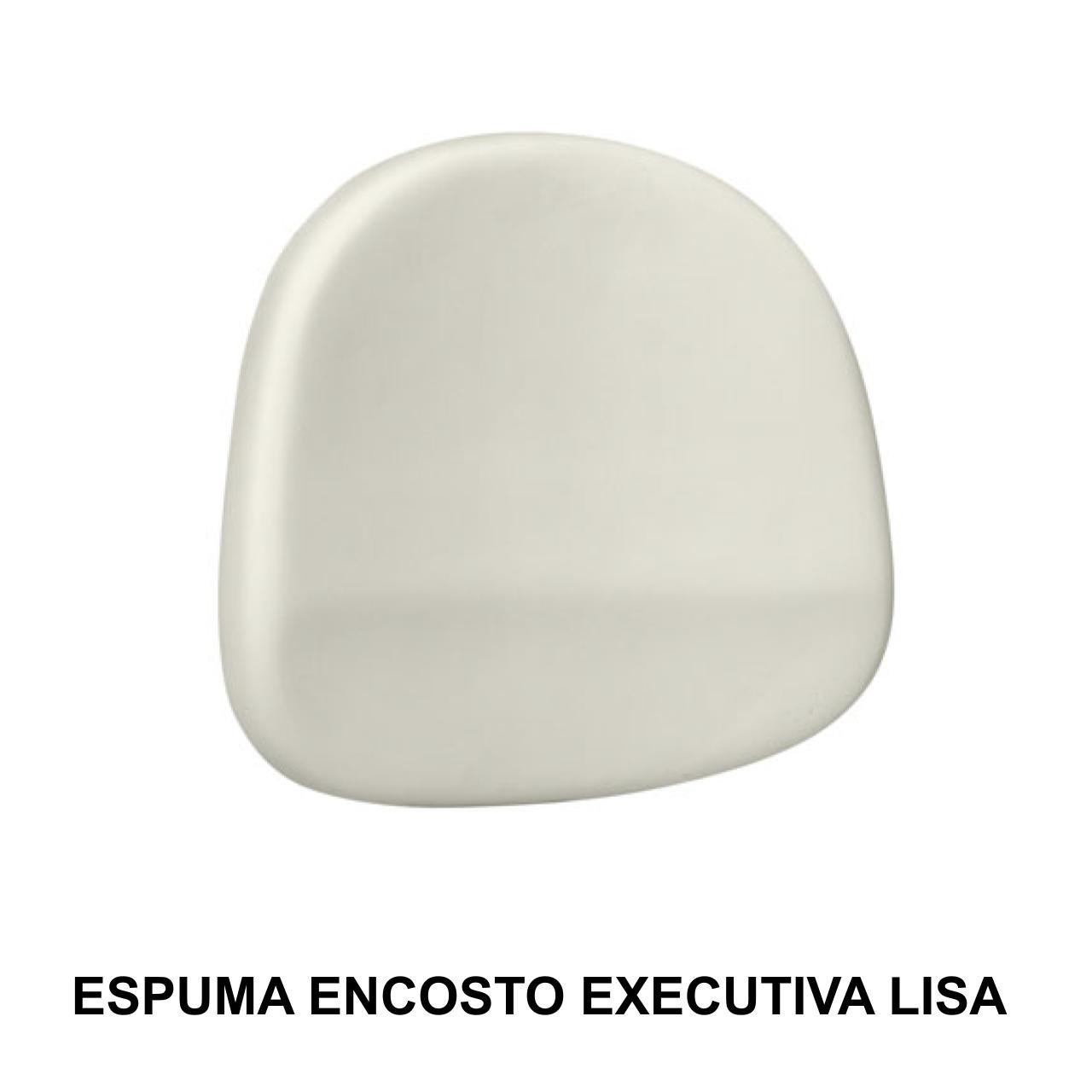 Espuma ASSENTO / ENCOSTO Executiva LISA - 99003 - Imagem 2