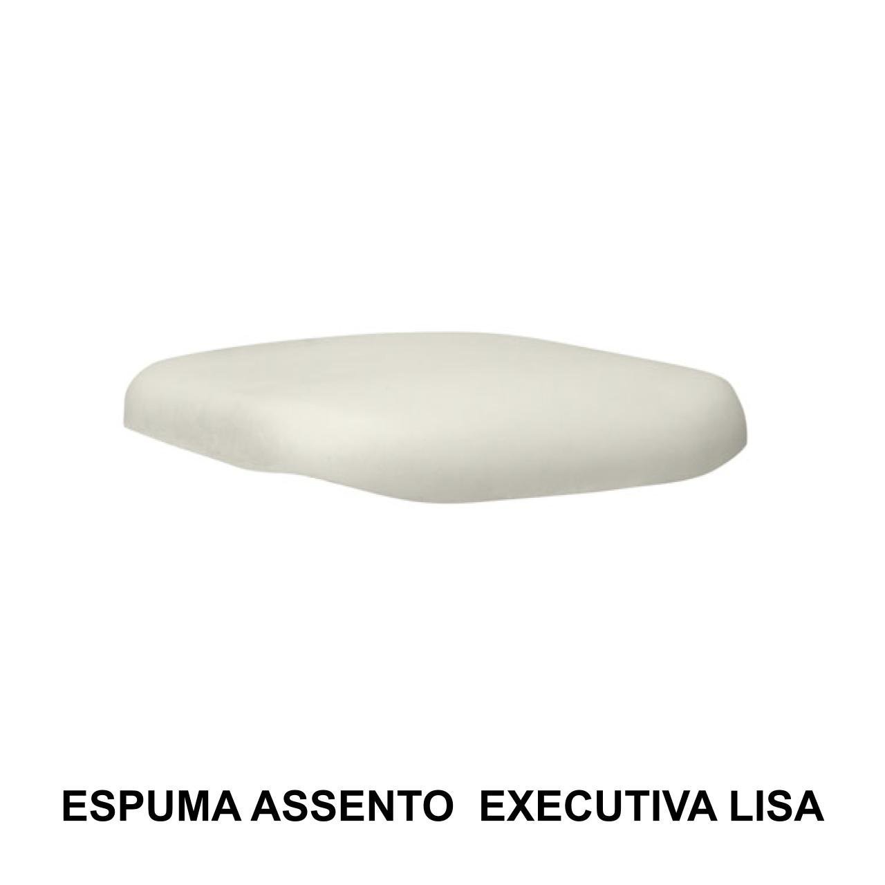 Espuma ASSENTO / ENCOSTO Executiva LISA - 99003 - Imagem 3