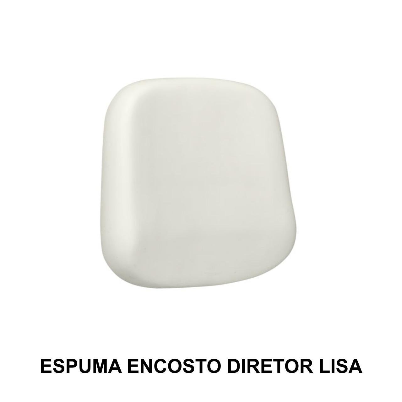 Espuma ASSENTO / ENCOSTO DIRETOR LISA - AMERICANFER - 99203 - Imagem 2